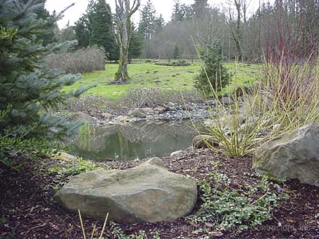 Landscape Pond Portland OR